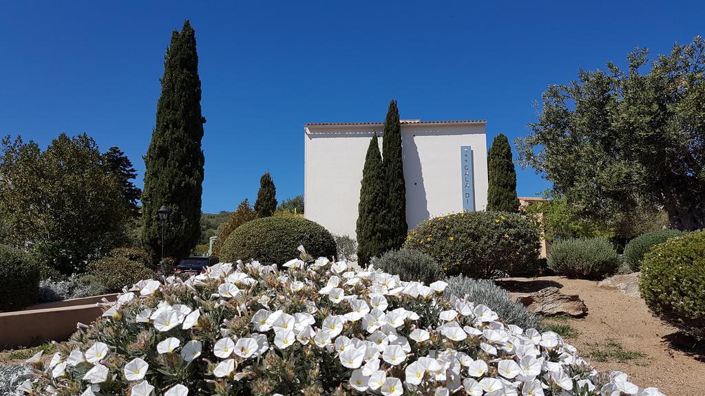 Hotel Cala Di L'Oru LʼÎle-Rousse Exteriér fotografie